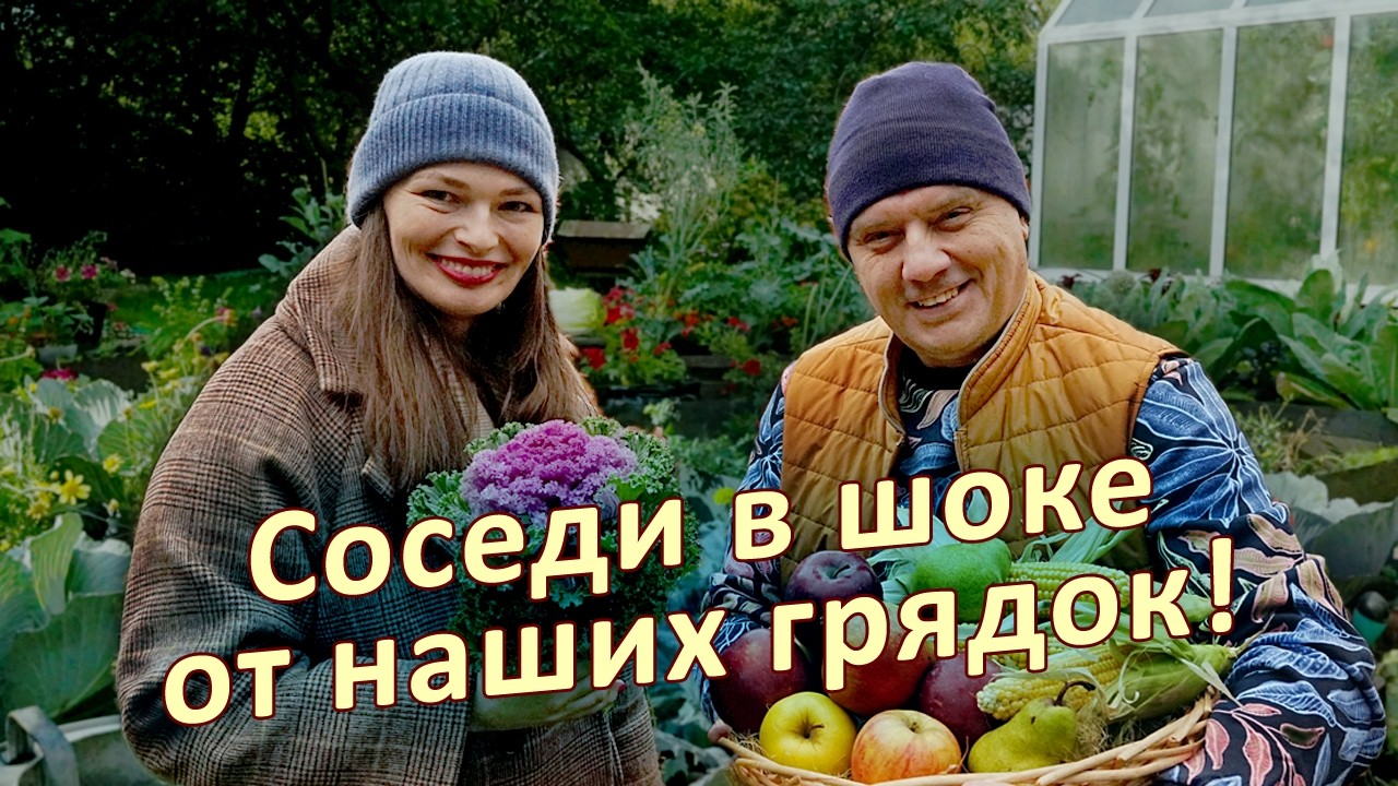 Не копайте огород осенью! Вот что нужно сделать вместо этого