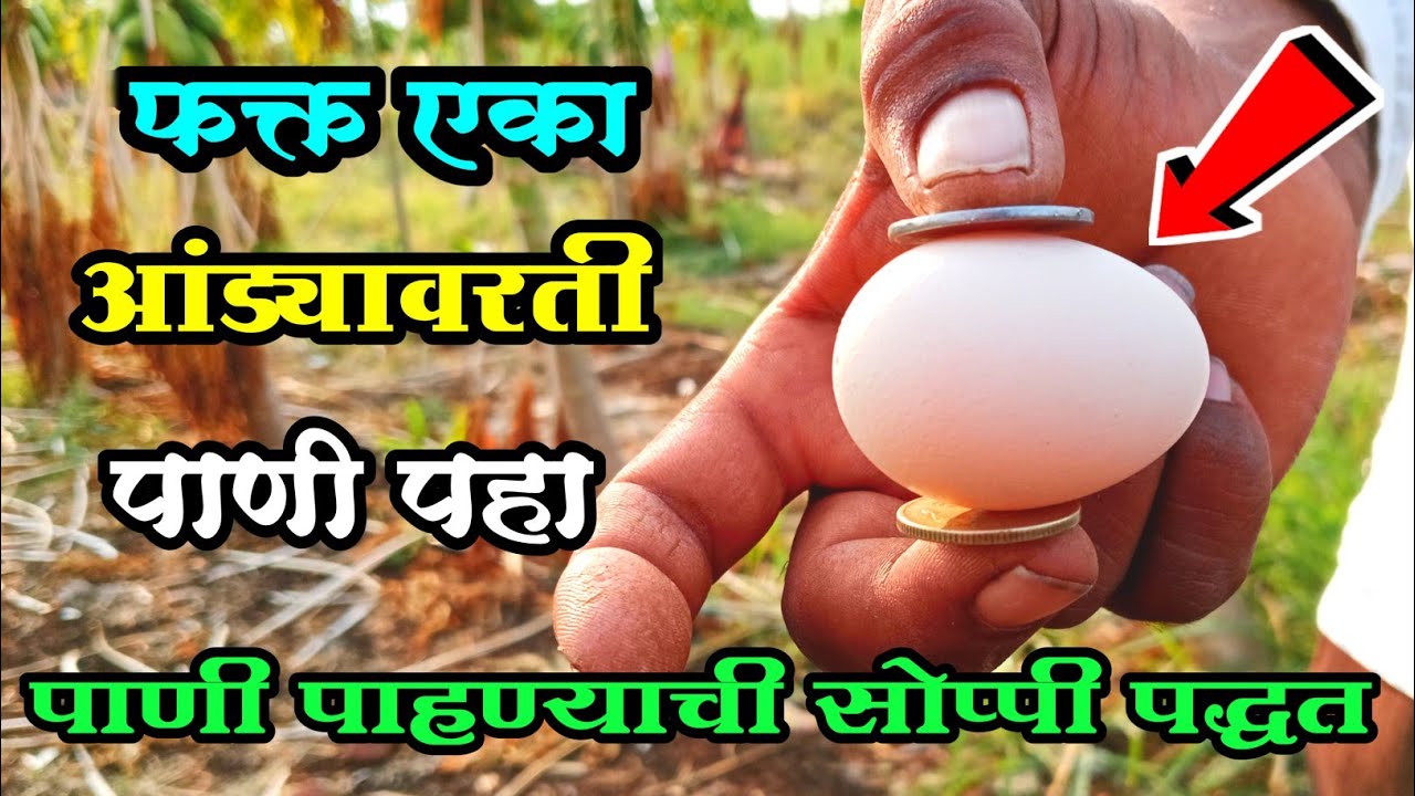 फक्त एका आंड्यावरती पाणी पहा पाणी पाहण्याची सोप्पी पद्धत.