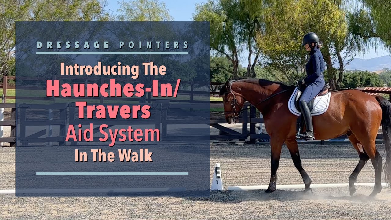 Dressage Pointers: Introducing The Haunches-In/Travers Aid System In The Walk