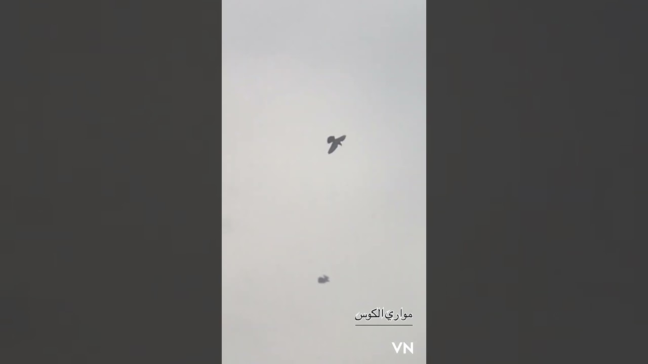 الصاعقة طيرة مهيمن ومحمود حي طارق ٢٠٢٣