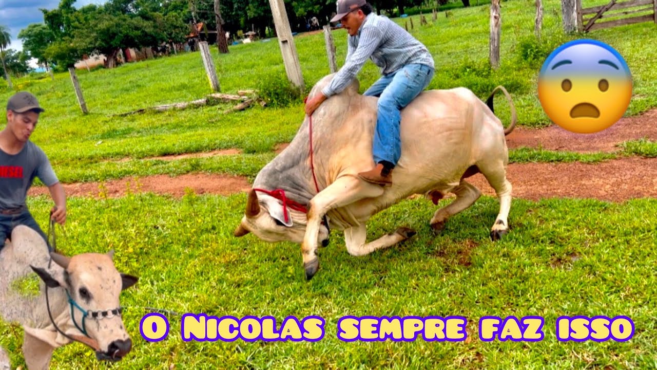 COLOCAMOS NA RUA O BOI XERIFE E O NICOLAS FEZ ISSO 🤠🔥🔥