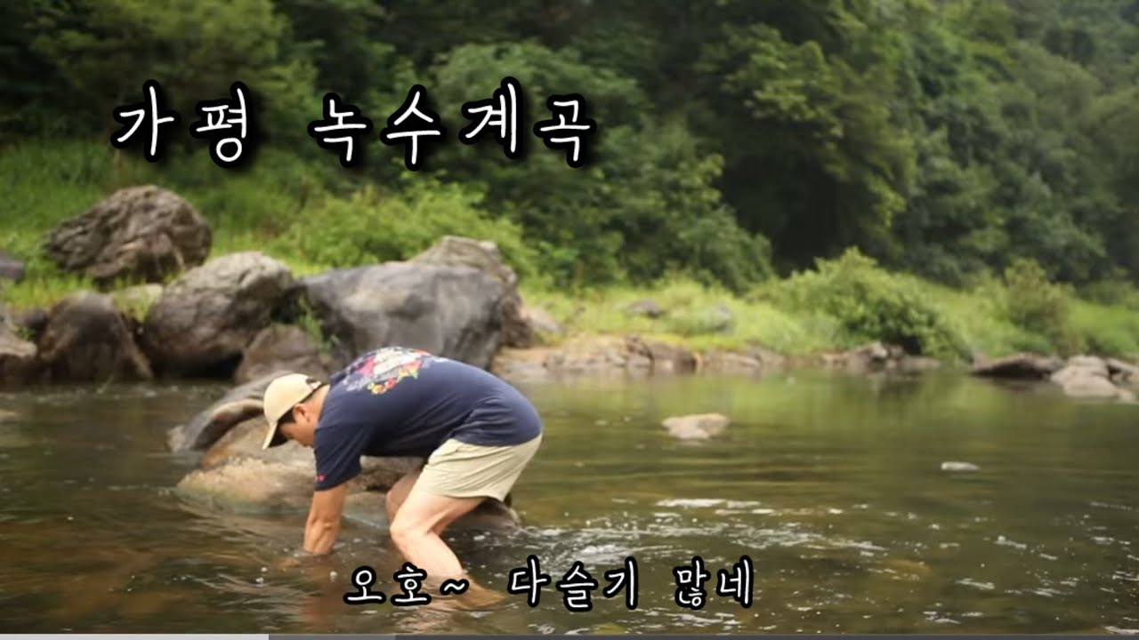 [캠핑로드] 잘 때 보면 도움되는 자연속 계곡캠크닉 #수면유도 #수면제 #수면캠핑 #toyotahighlanderhybrid #도요타하이랜더 #캠핑