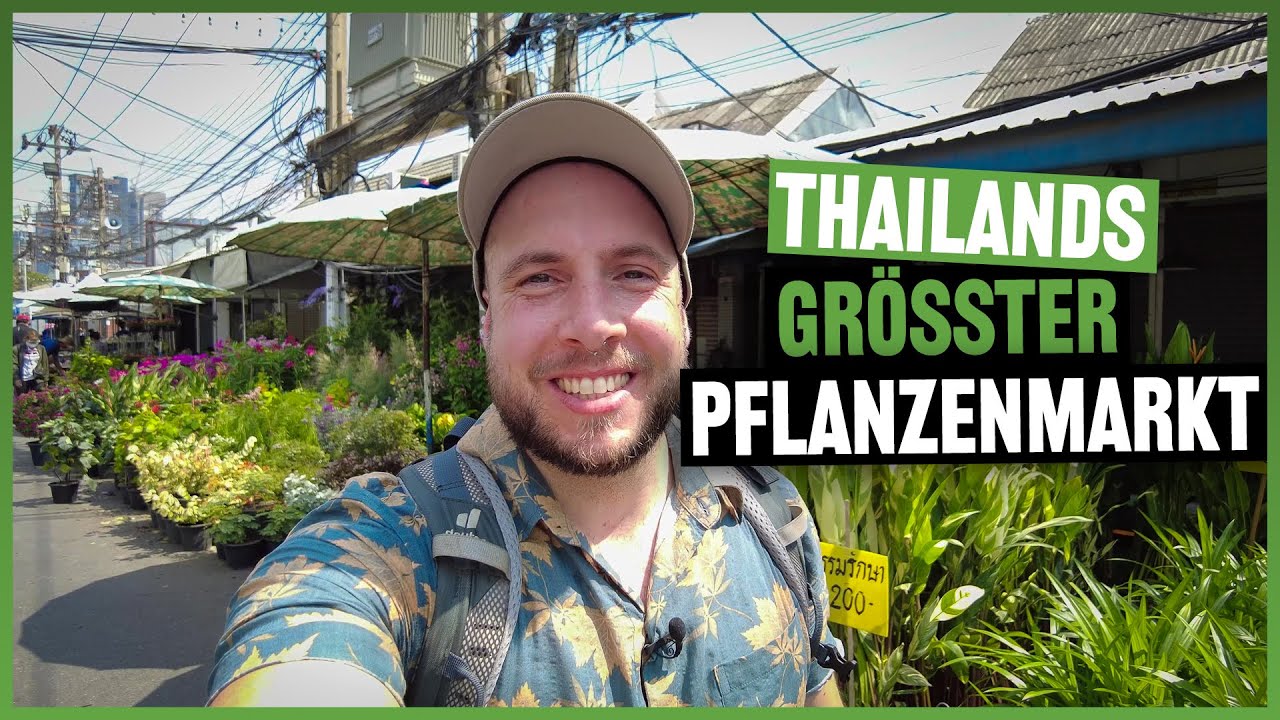 #257 Karnivoren, Kakteen, Orchideen, Houseplants und alles was das Herz begehrt