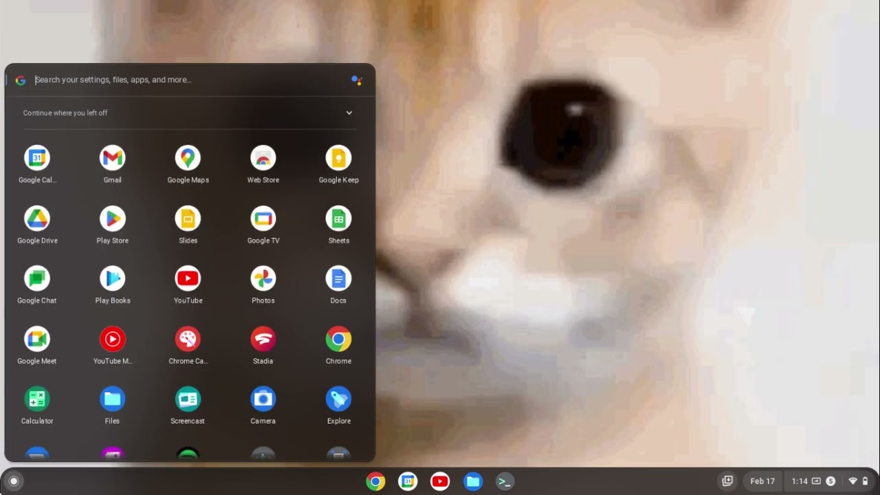 How to install + use VLC Media Player. (chromebook/linux)