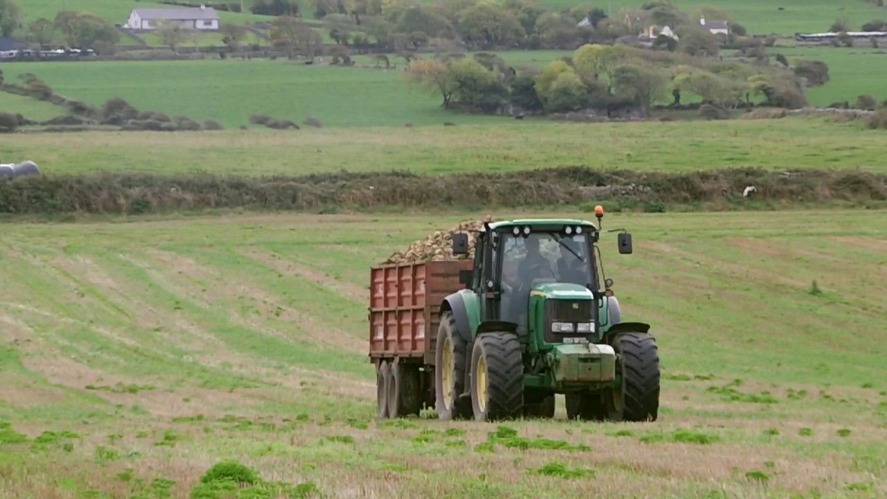 Shane Nolan Agri - Pulling Beet on Scallion's Island
