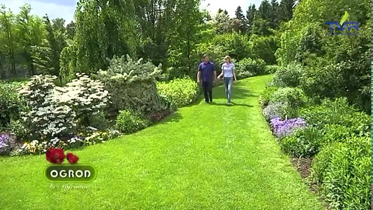 Ogrod bez tajemnic ,, Drzewa do małych ogrodów''
