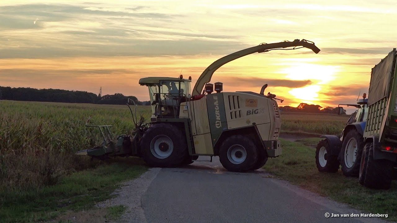 Mais Silage | Nikkels | Krone BiG X 850 + New Holland + Claas | 2018