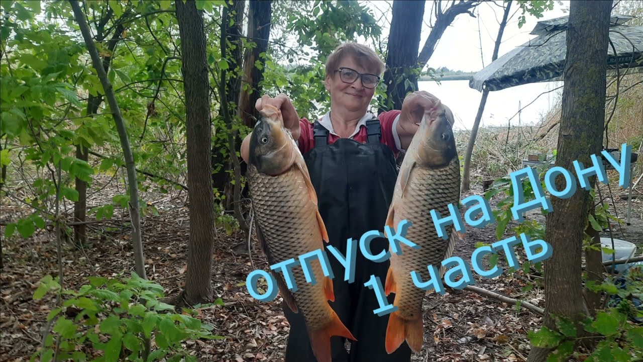 Рыбалка и отдых на Дону. Отпуск на воде с удочками. Сазаны трофейных размеров. Часть первая.