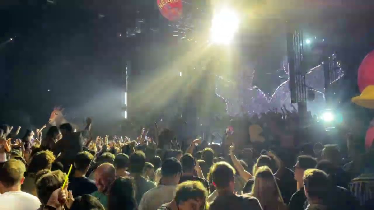 Netsky - Hold on - Wellington NZ