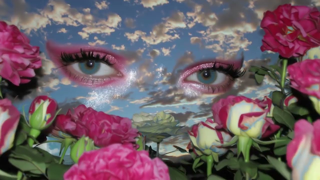 Rose Gray - Lotus (Official Visualiser)