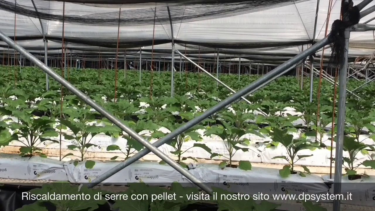 Serre riscaldate con generatori d'aria calda a pellet da 45 a 130 kw - 6000 mq