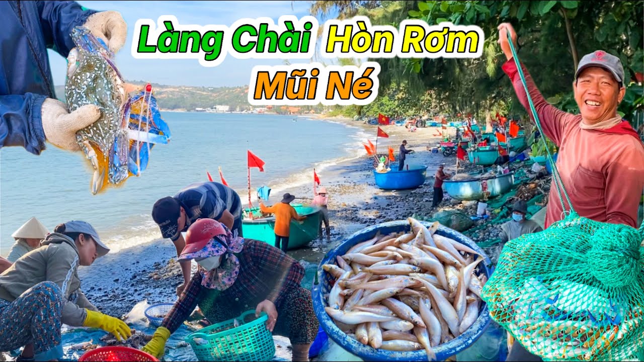 Ngư Dân Trúng Ghẹ Đầu Vụ Biển | Điểm Mua Hải Sản Tận Tay Ngư Dân Khi Du Lịch Mũi Né Phan Thiết