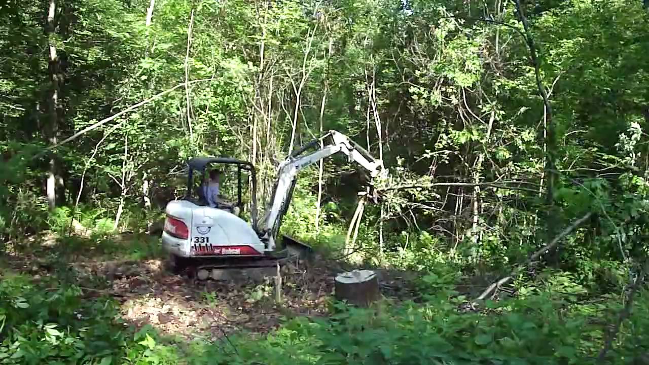 Bobcat 331 clearing small trees