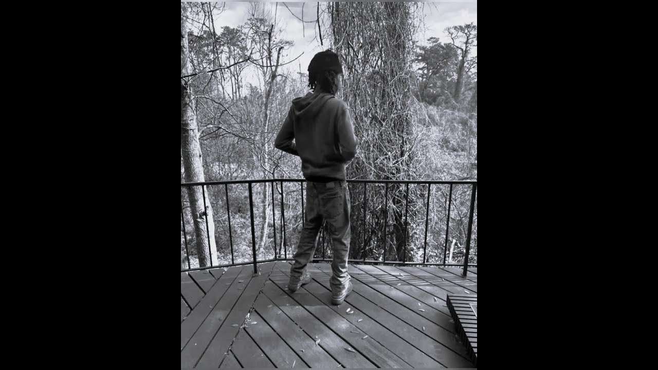 swapa + zukenee type beat - chivalry