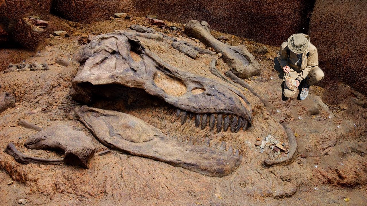 Die gr&ouml;&szlig;ten jemals gefundenen Fossilien!