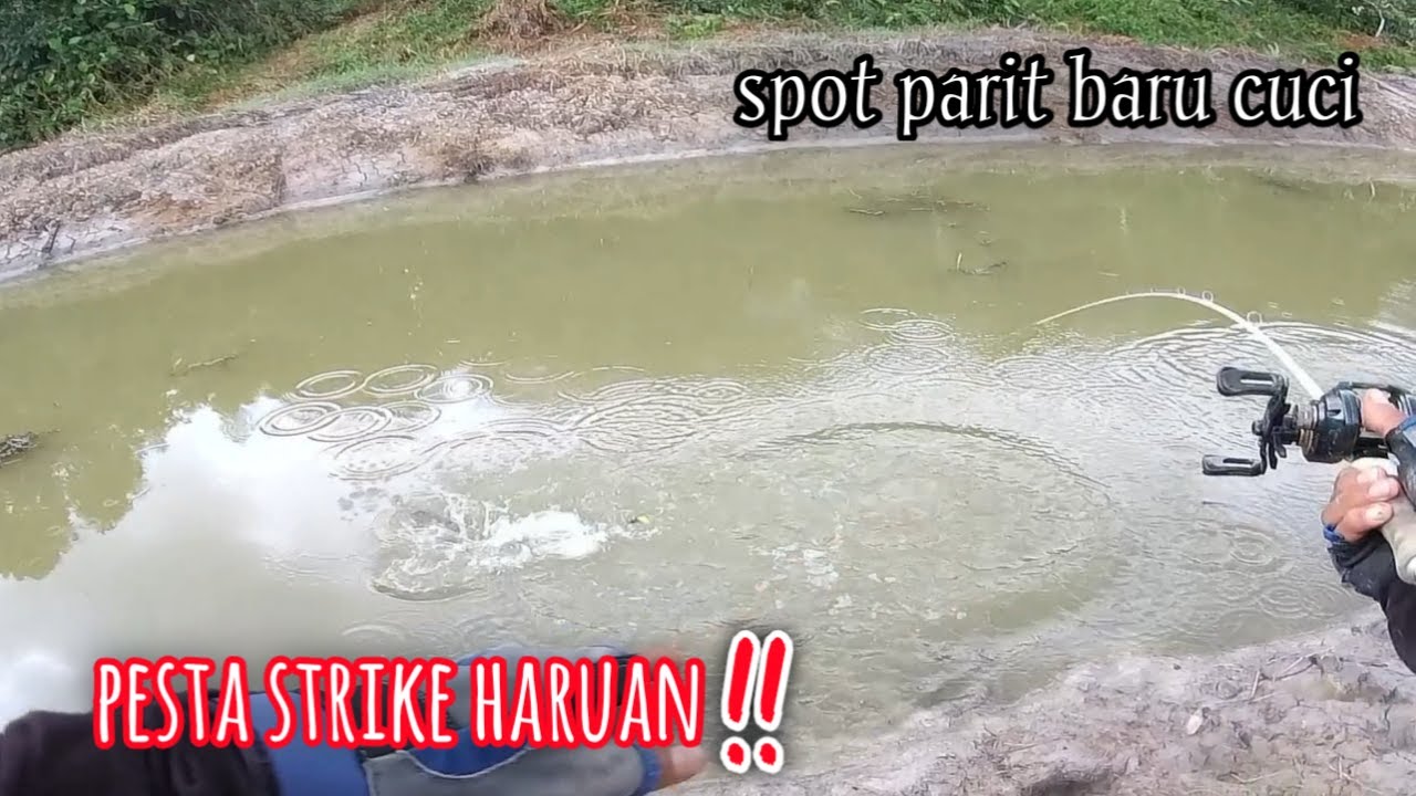 AIR NAMPAK CETEK TERNYATA ADA PENGHUNINYA | HARUAN GORGON
