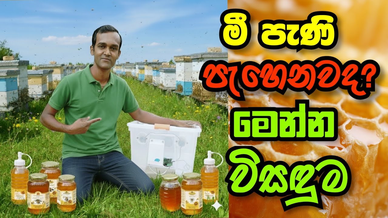 මී පැණි විජලනයට යන්ත්‍රයක් හදමු | Bee honey Dehydrator