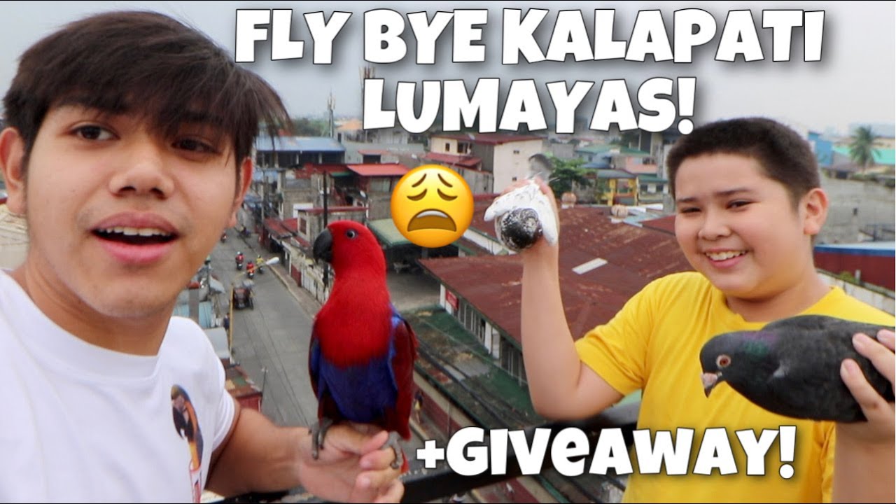 MAMAHALING DAGIT NA KALAPATI LUMAYAS AT NAGFLY BYE! Paalam kalapatid pati chai (IBON) | Murillo Bros