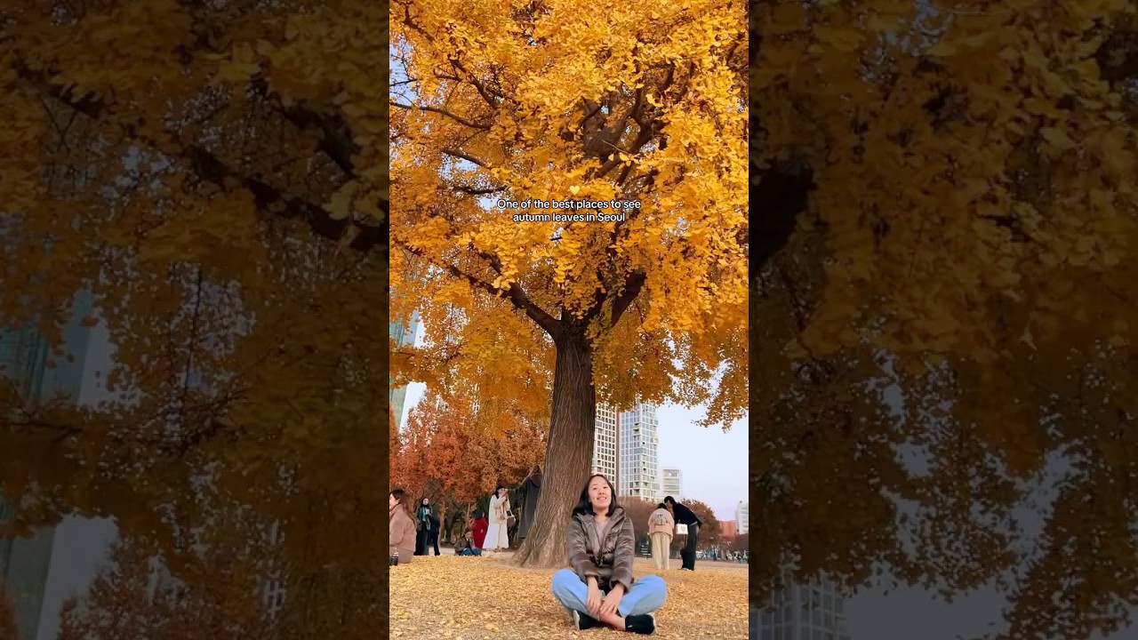 One of the best places to see autumn leaves in Seoul