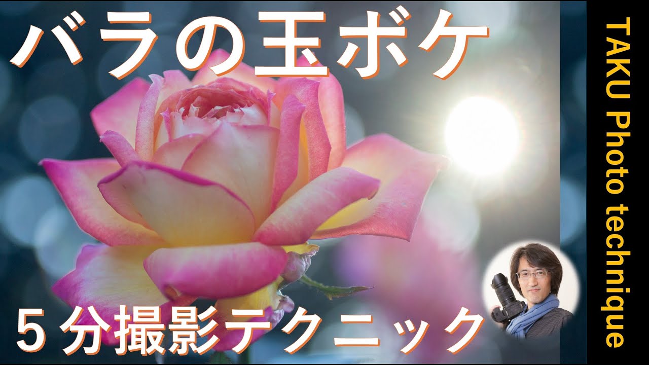 バラの玉ボケ写真の撮り方：こうすれば玉ボケになる！5分で簡単解説