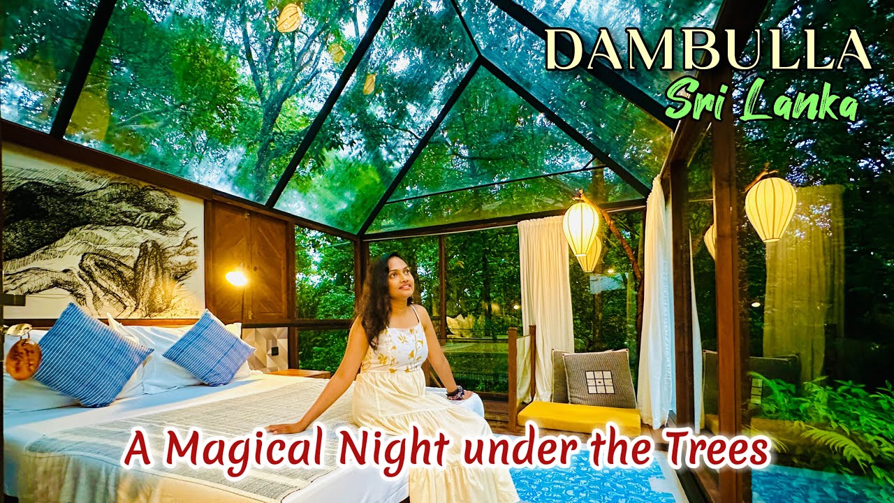 Best Hotel In Dambulla??? Diyabubula,the Barberyn Art & Jungle Hideaway,Sri Lanka (Peace in Forest)