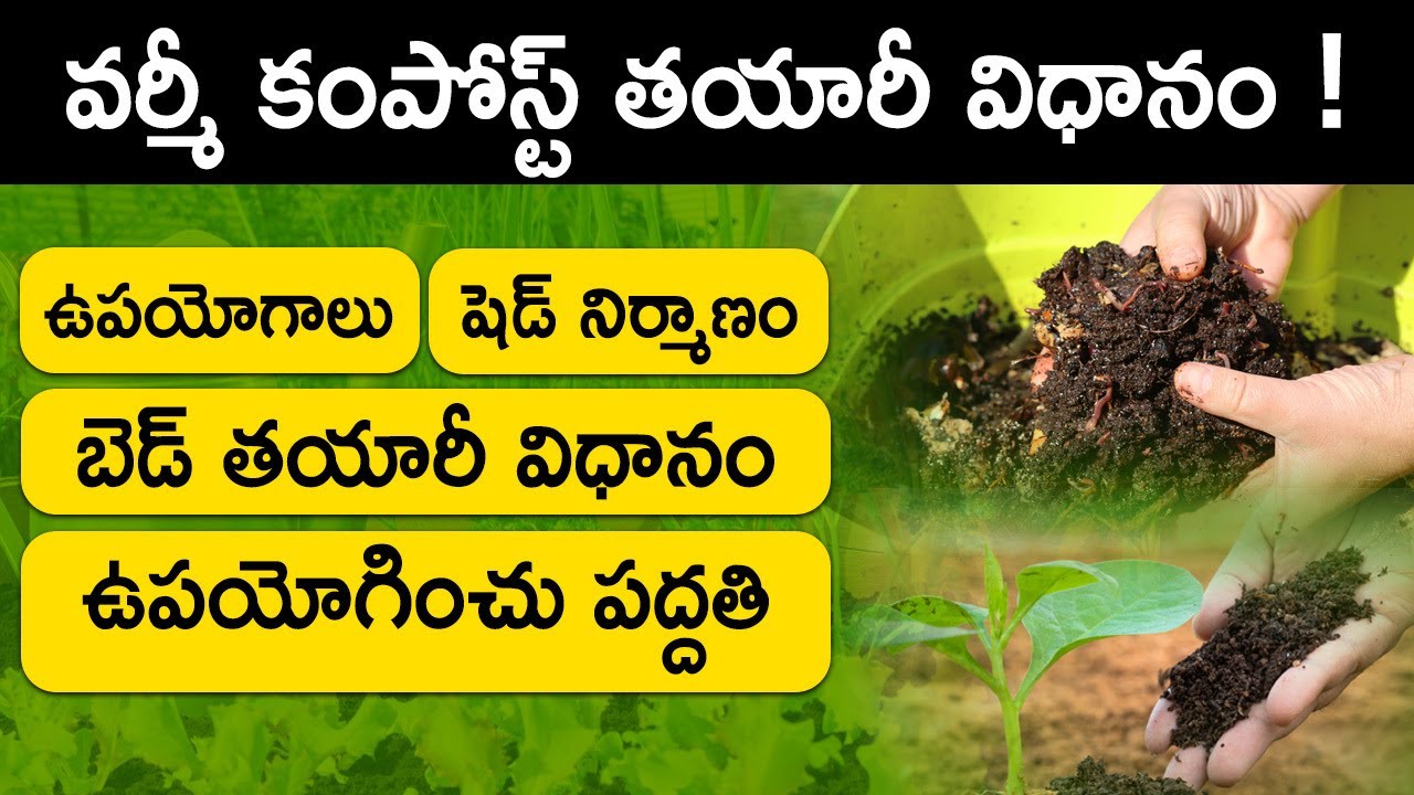 Vermicomposting in Telugu | How To Make Vermi Compost | How to Use Vermicompost | Organic Fertilizer