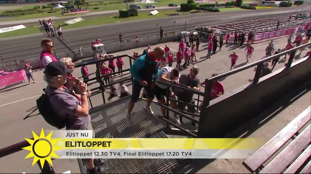 Bråk om bästa platsen skapar kaos på Elitloppet - Nyhetsmorgon (TV4)