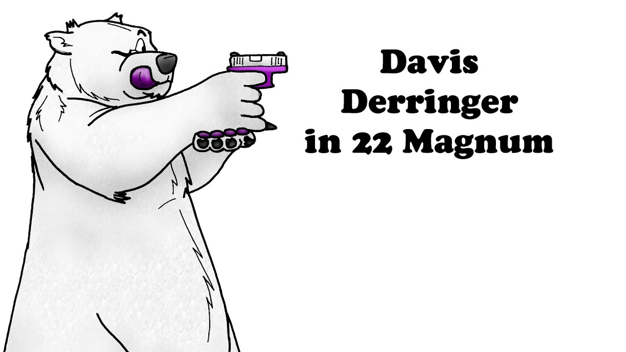 Davis 22 mag Derringer