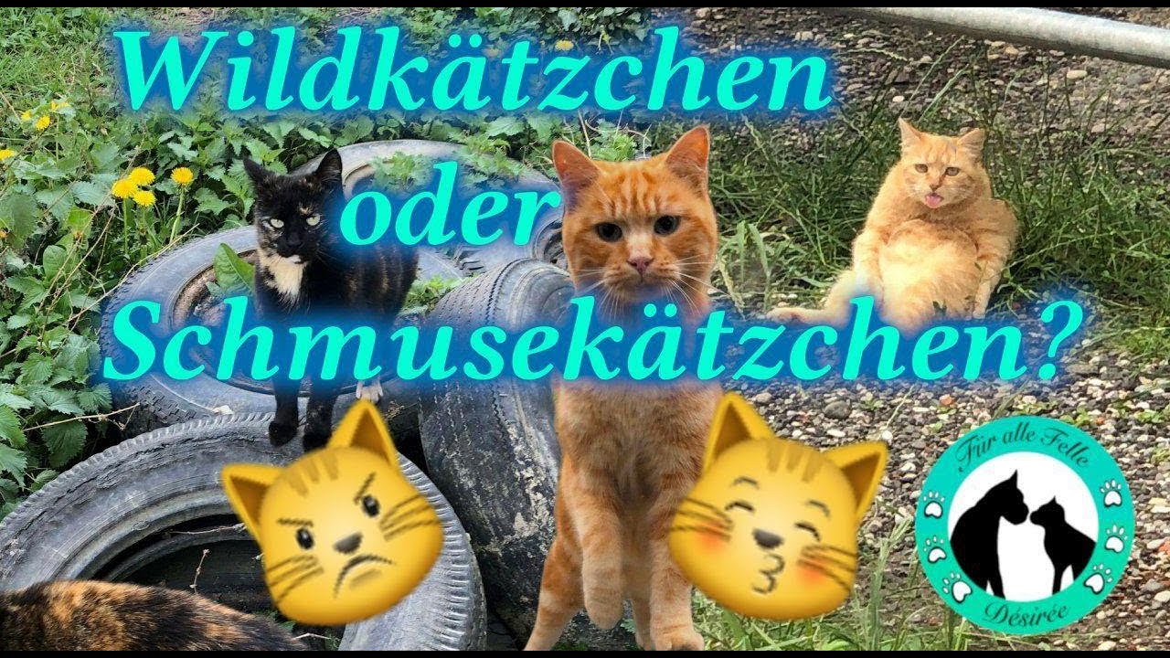 Zu Besuch bei Manuel- 