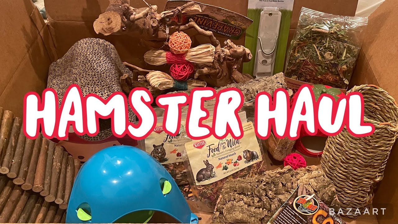 HUGE Chewy and Amazon HAMSTER HAUL! | Upgrading my Hamster’s Cage Ep. 4