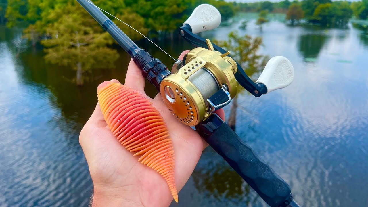 Fishing SECRET Texas Swamp For AGGRESSIVE Fish!