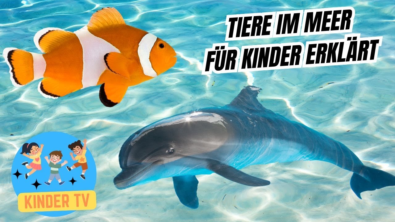 Tiere im Meer - F&uuml;r Kinder erkl&auml;rt #lernvideo #f&uuml;rkinder #meerestiere #unterdemmeer