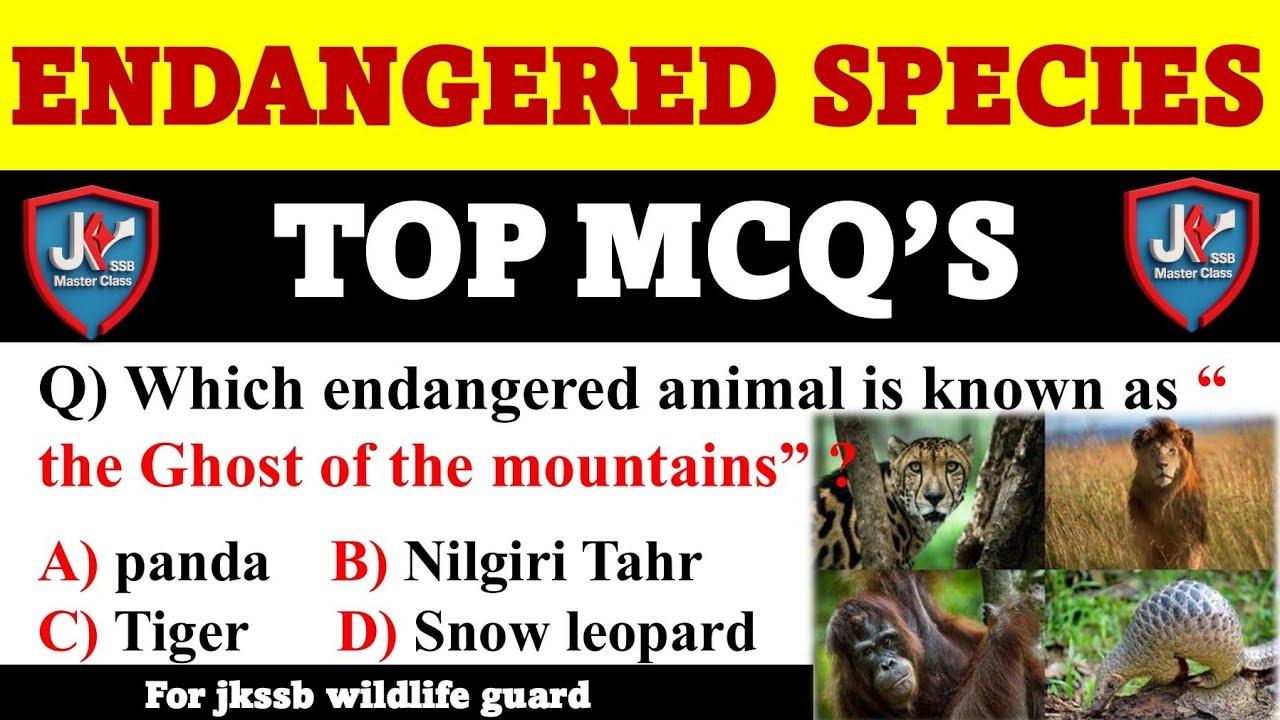 IMPORTANT MCQS FOR JKSSB WILDLIFE GUARD/mcq on endangered species of animals/jkssb wildlifeguard mcq
