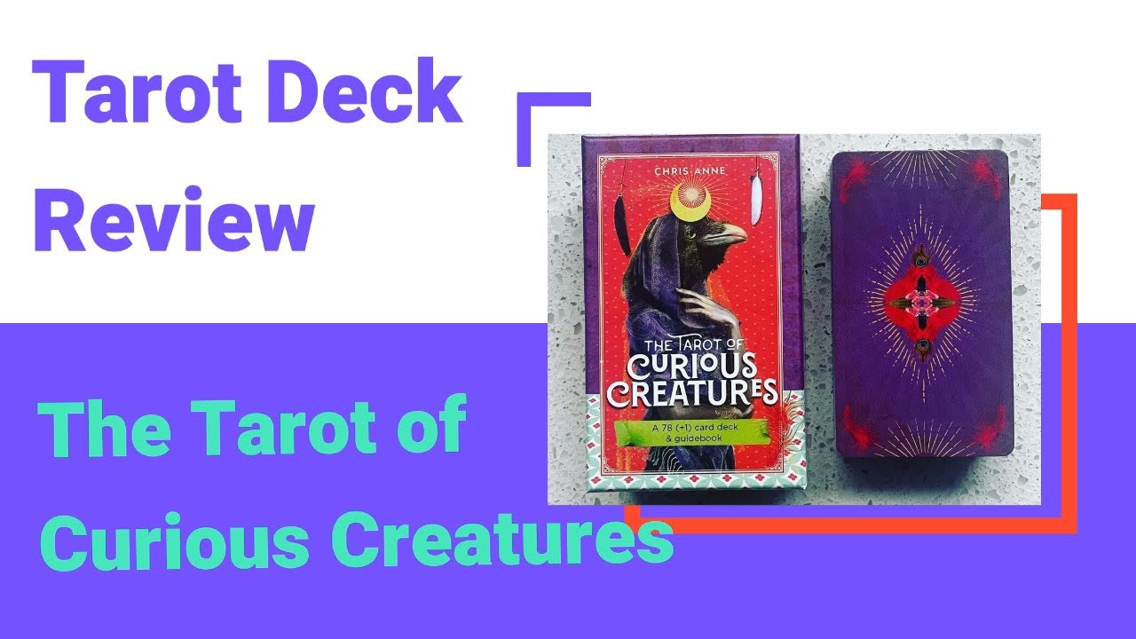 Tarot Deck Review of the Tarot of Curious Creatures by Chris Anne.