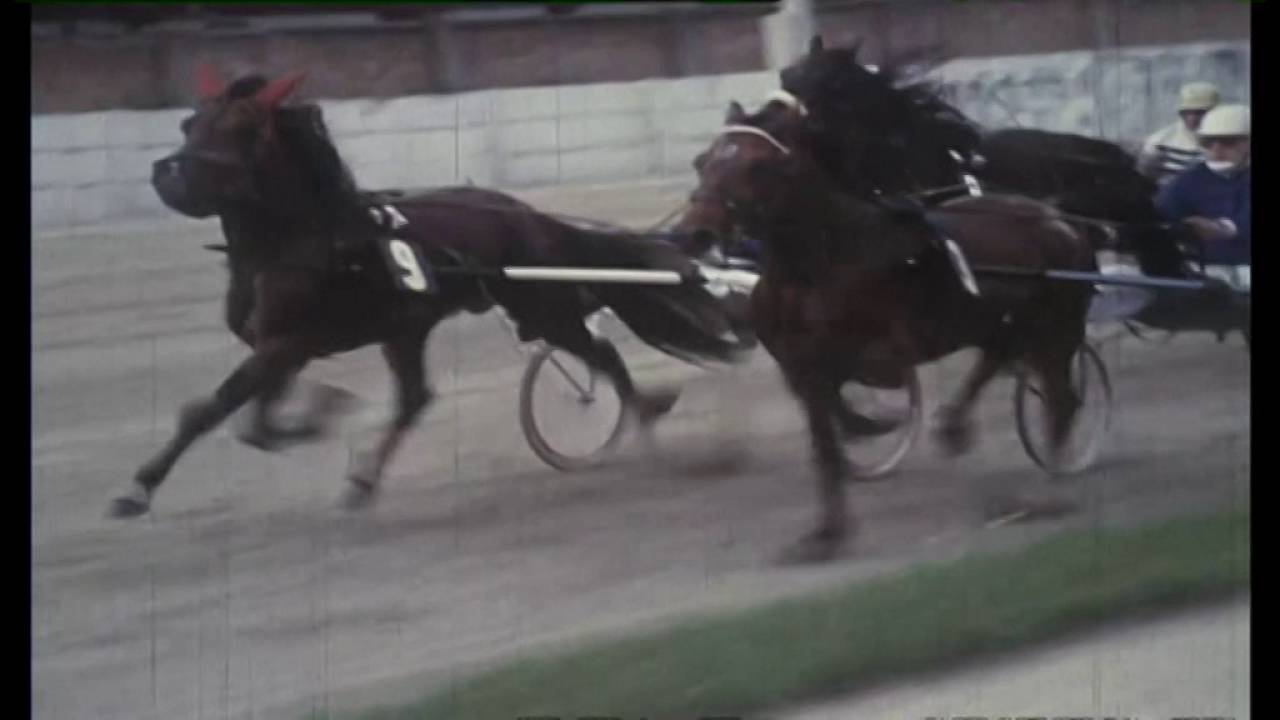 Österreichisches Traber-Derby  1973