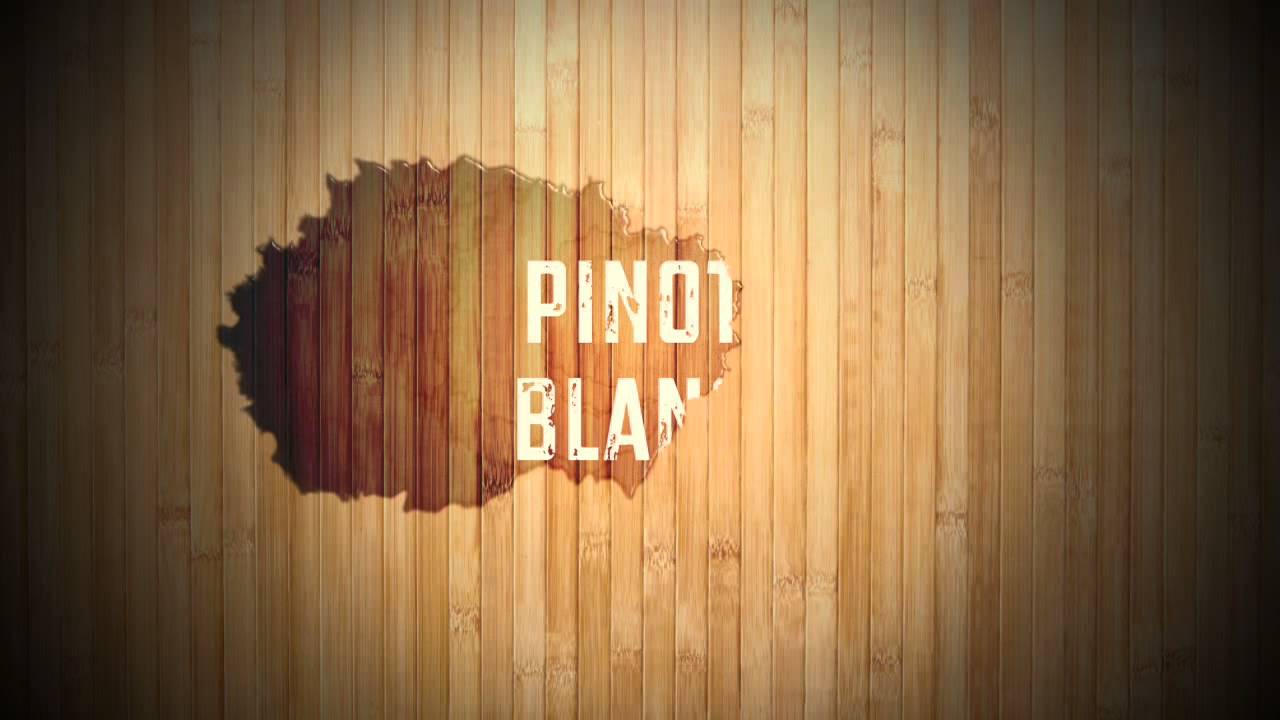 Winezja.pl - 