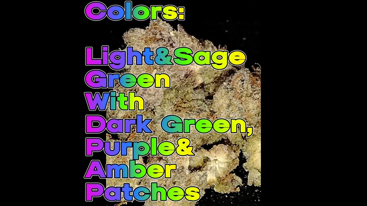 Now N Later (50/50 H) Strain Review-Budpedia