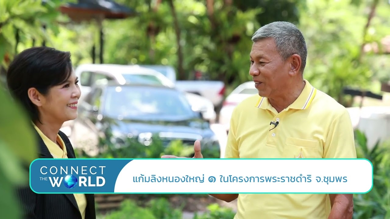 แก้มลิงหนองใหญ่ ๑ ในโครงการพระราชดำริ จ.ชุมพร Connect the World