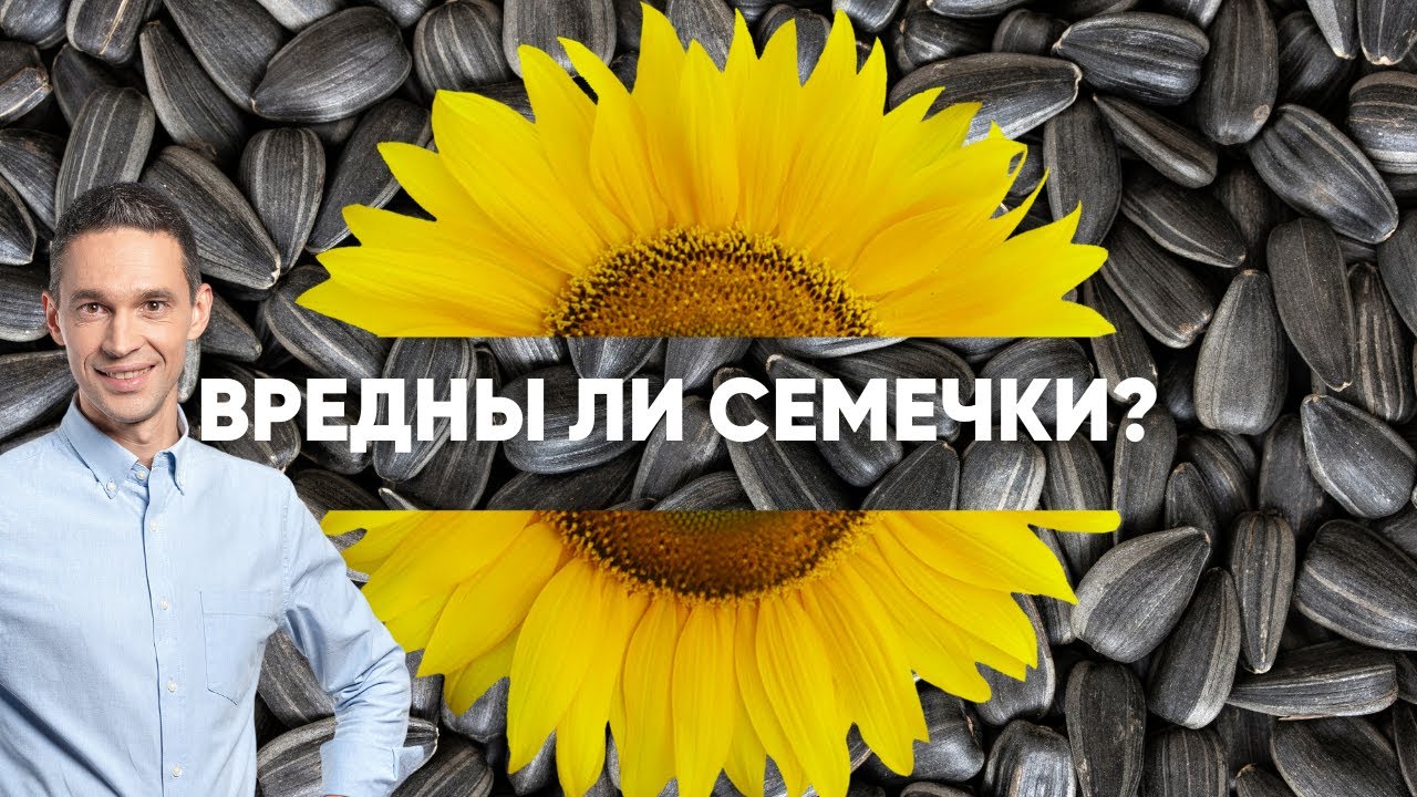 ВРЕДНО ЛИ ЩЕЛКАТЬ СЕМЕЧКИ?