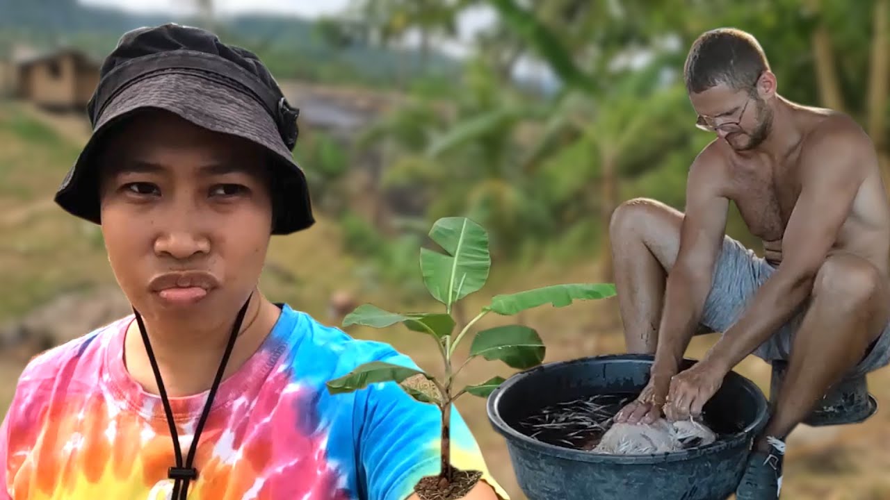 Replanting young bananas near our border |Chicken Coop update | Province life with foreigners