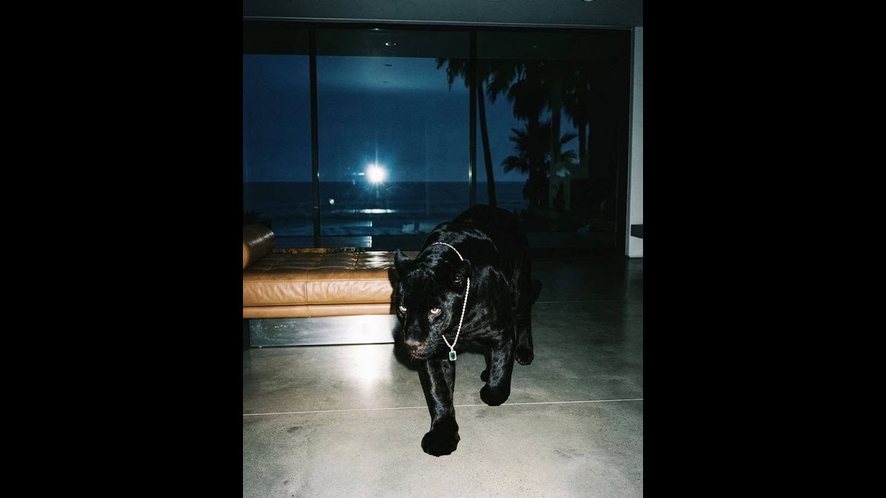 (FREE) Lucki Type Beat - 