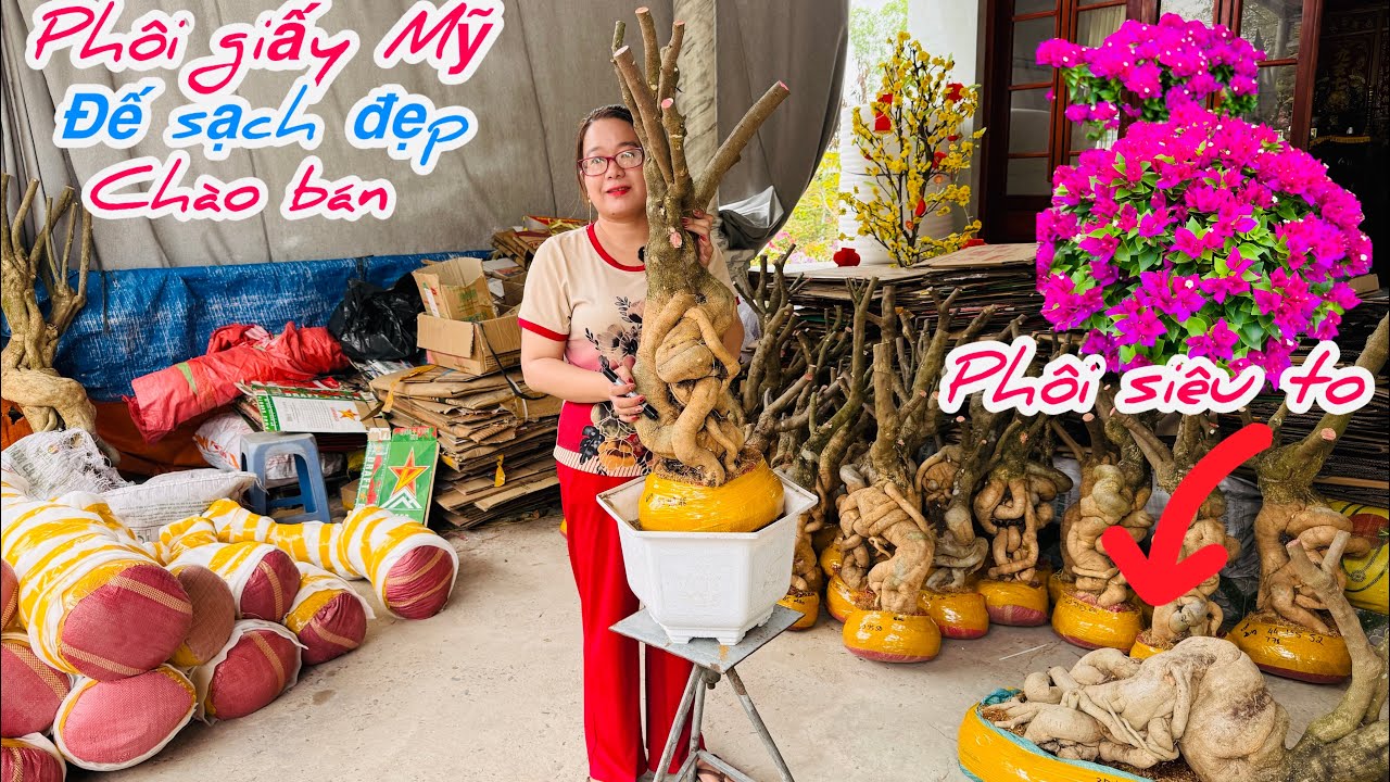 Phôi giấy Mỹ đế sạch đẹp chào bán bao phí ship..26/02😘📲0772.119.600.Quỳnh-Như 