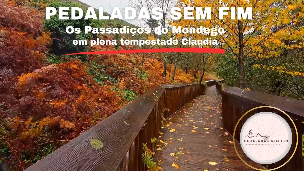 ✅Os Passadiços do Mondego em plena tempestade Claudia 🚶‍♀️🚶‍♀️🚶‍♀️🚶‍♀️🚶‍♀️🚶‍♀️🚶‍♀️