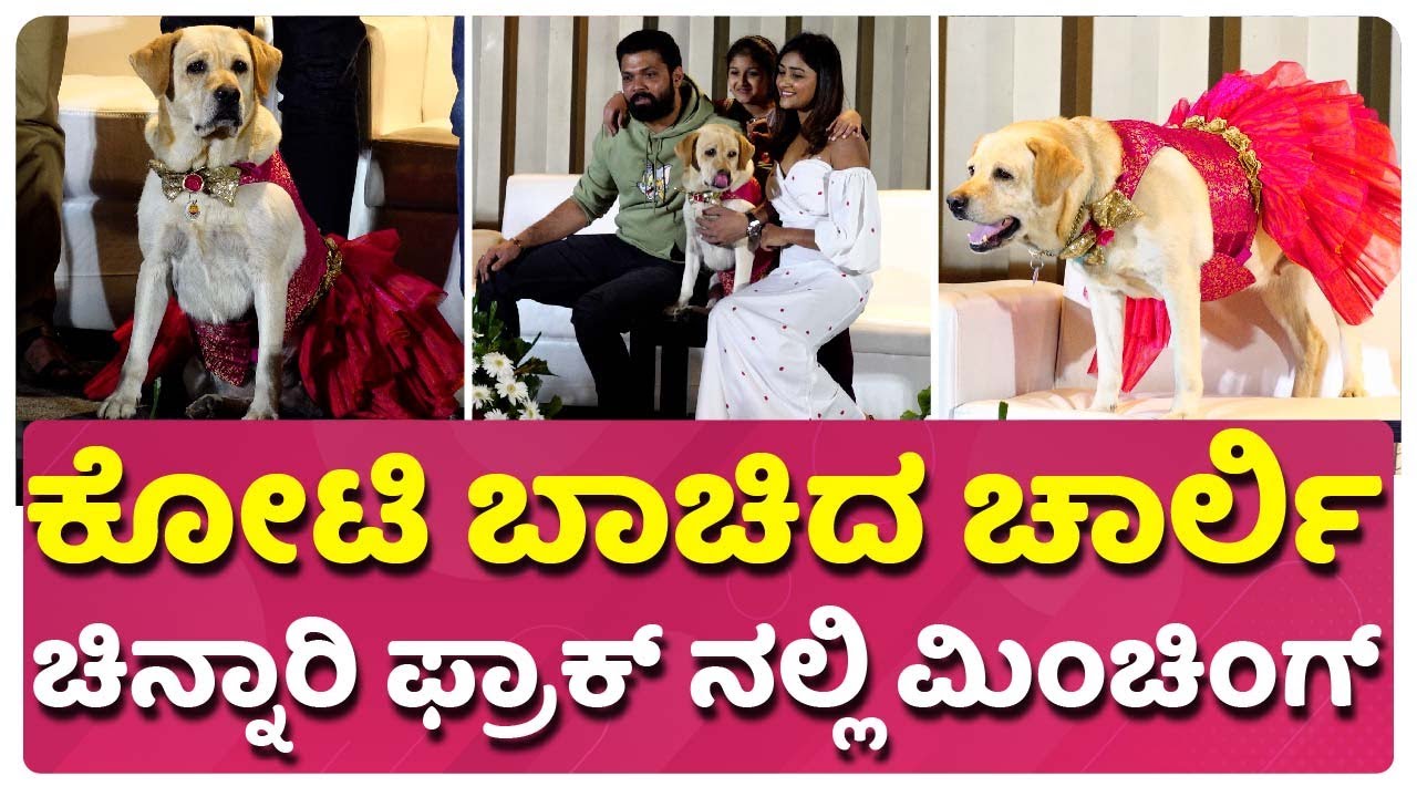 777 Charlie 25 Days Success Press Meet | ಚಮಕ್ ಚೆಲ್ಲೋ ಚಾರ್ಲಿ..!