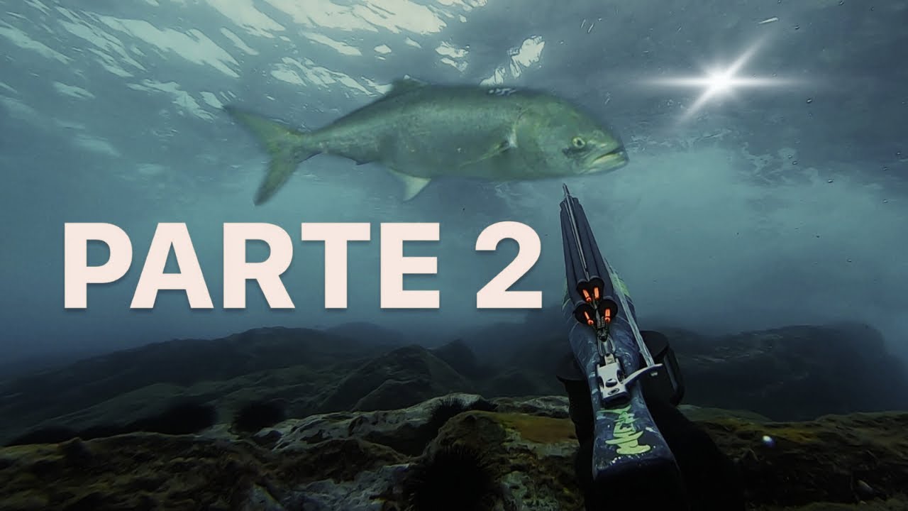 2ª PARTE de PEJERREYES GIGANTES a POCA AGUA en CANARIAS { ANJOVA, BLUEFISH, SERRA}