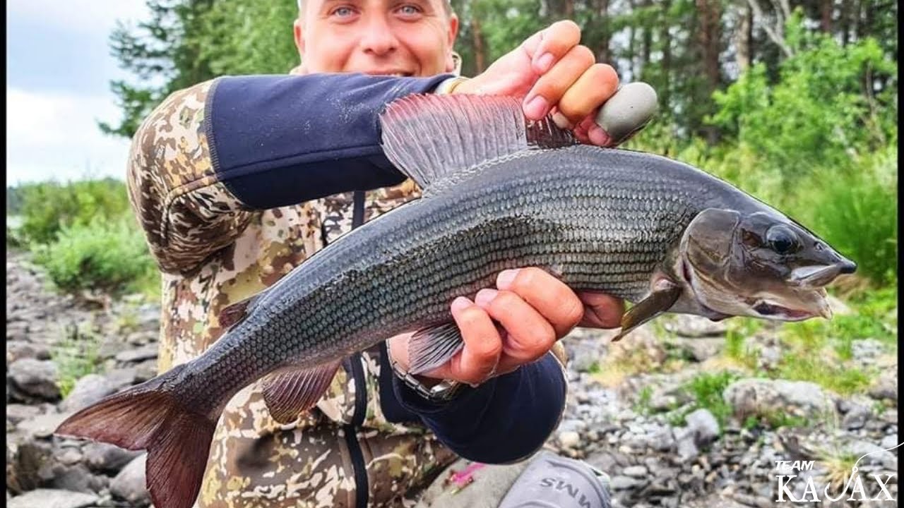Flugfiske i Jämtland 2021  | Team Kajax
