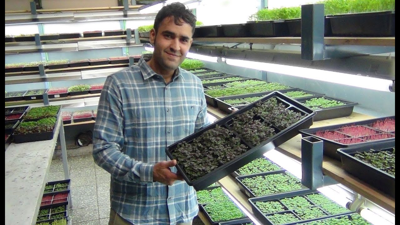 True leafs, el mundo de los micro vegetales llega a lakasa