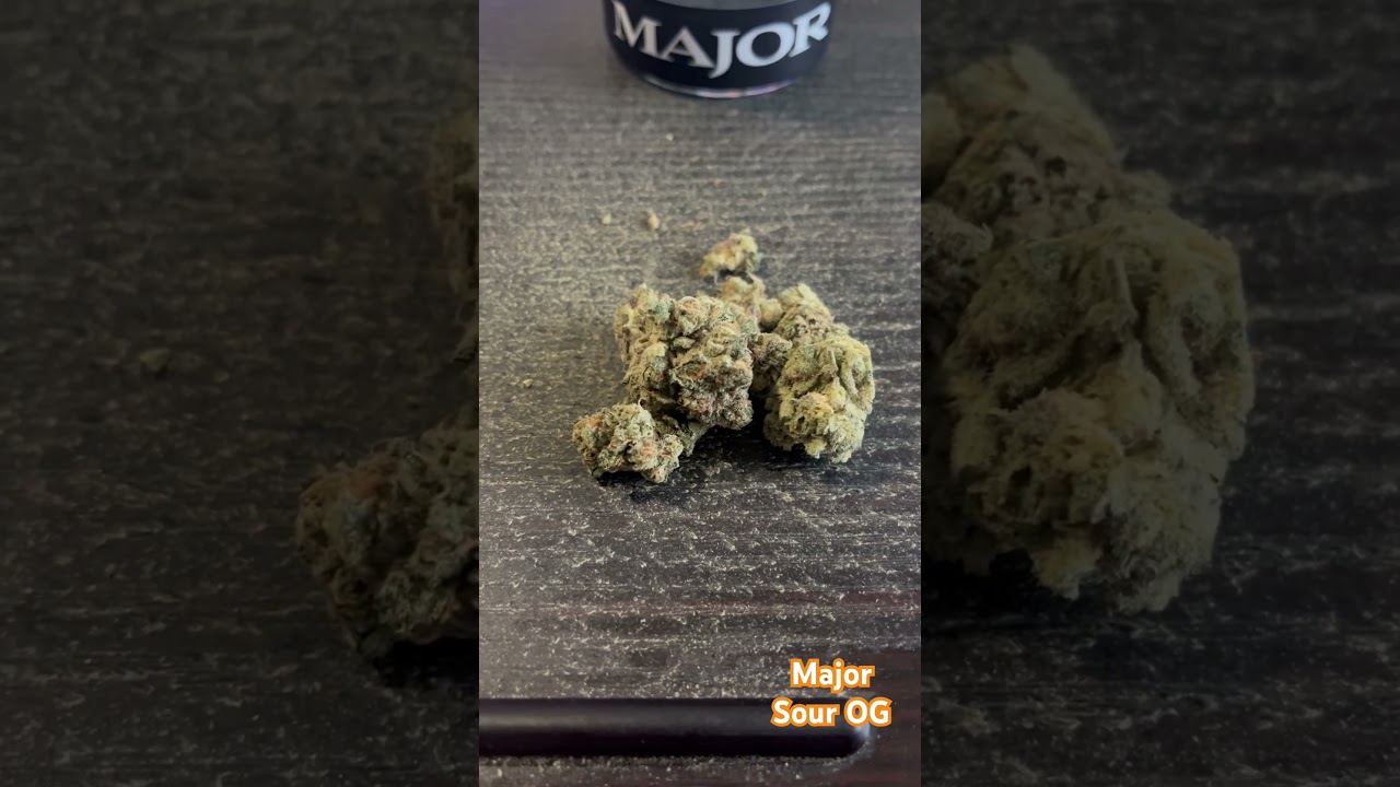 Major -Sour OG / Strain Review