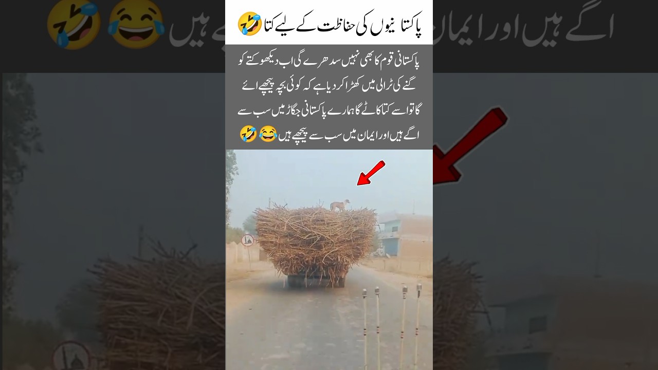 Pakistani Jugaad Security Guard on Sugarcane Trolley 😂#PakistaniJugaad #FunnyPakistan #DesiComedy#nw