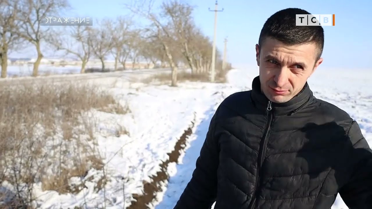 Морозы натворили бед